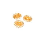 3M Radial Disks