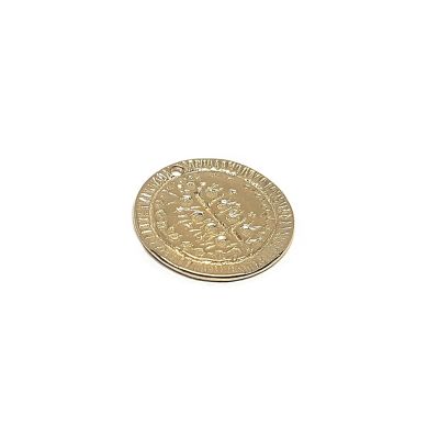 14K Gold Plated Coin Pendant